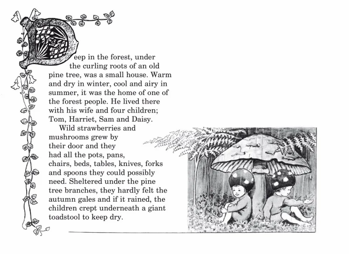 Children of the Forest by Elsa Beskow-Picture Books-Books-9780863150494-Stardust-Store