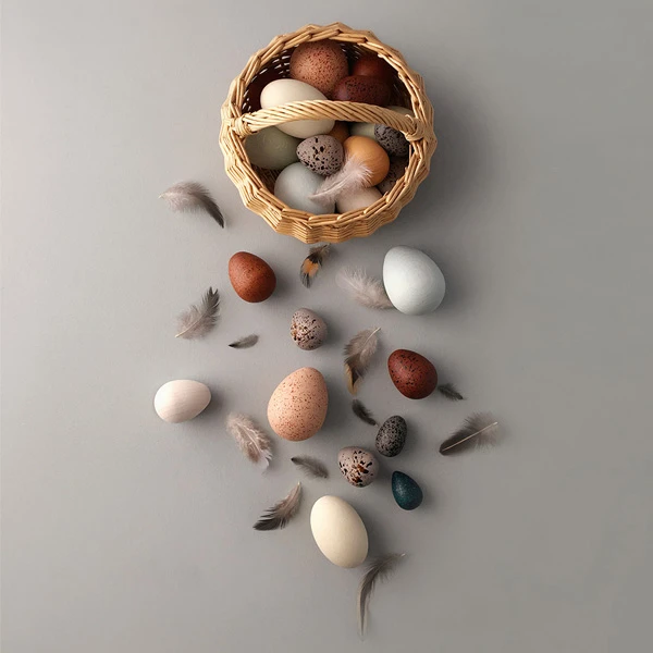 A Dozen Bird Eggs-Wooden Toys-Moon Picnic--Stardust-Store