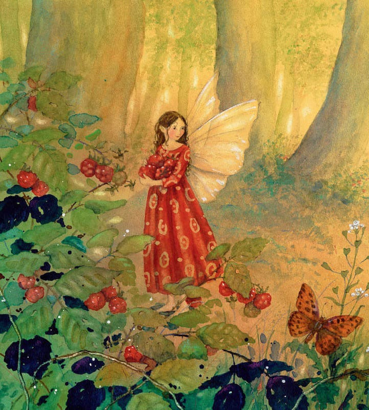 Little Fairy Makes a Wish by Daniela Drescher-Picture Books-Books-9781782502432-Stardust-Store