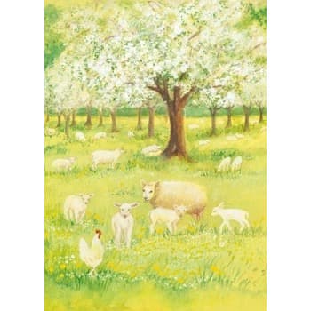 Marjan van Zeyl Lambs in the Orchard - Postcard-Spring - Summer Postcards-Marjan van Zeyl--Stardust-Store