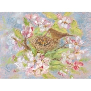 Marjan van Zeyl Birds Nest - Postcard-Spring - Summer Postcards-Marjan van Zeyl-8717185563504-Stardust-Store