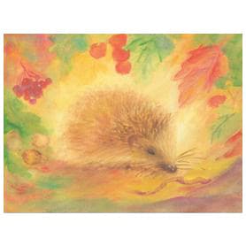 Marjan van Zeyl Hedgehog - Postcard-Autumn - Winter Postcards-Marjan van Zeyl--Stardust-Store