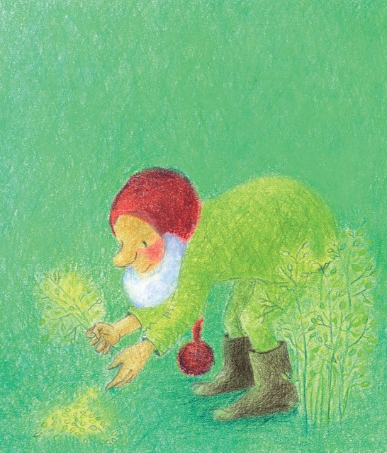 Pip the Gnome and the Forest Feast by Admar Kwant-Board Book-Books-9781782505495-Stardust-Store