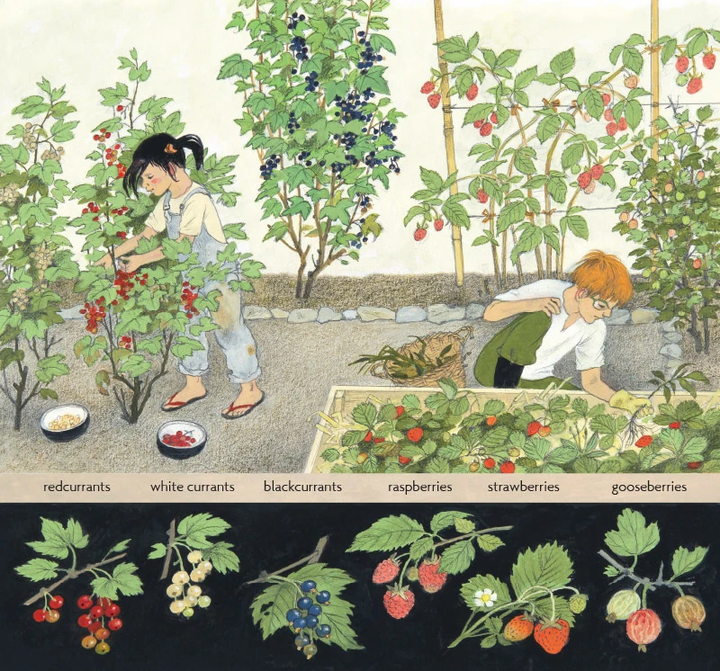 How Does My Fruit Grow? by Gerda Muller-Picture Books-Books-9781782504726-Stardust-Store