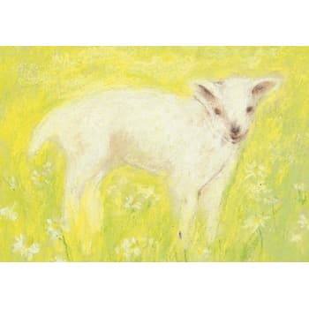 Marjan van Zeyl Lamb - Postcard-Spring - Summer Postcards-Marjan van Zeyl--Stardust-Store