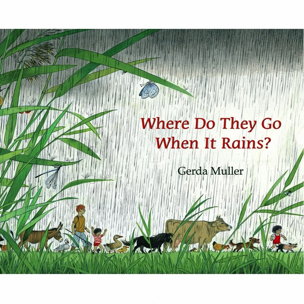 Where Do They Go When It Rains? by Gerda Muller-Picture Books-Books-9781782506874-Stardust-Store