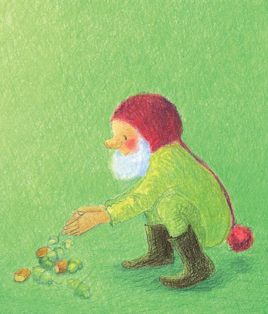 Pip the Gnome and the Forest Feast by Admar Kwant-Board Book-Books-9781782505495-Stardust-Store