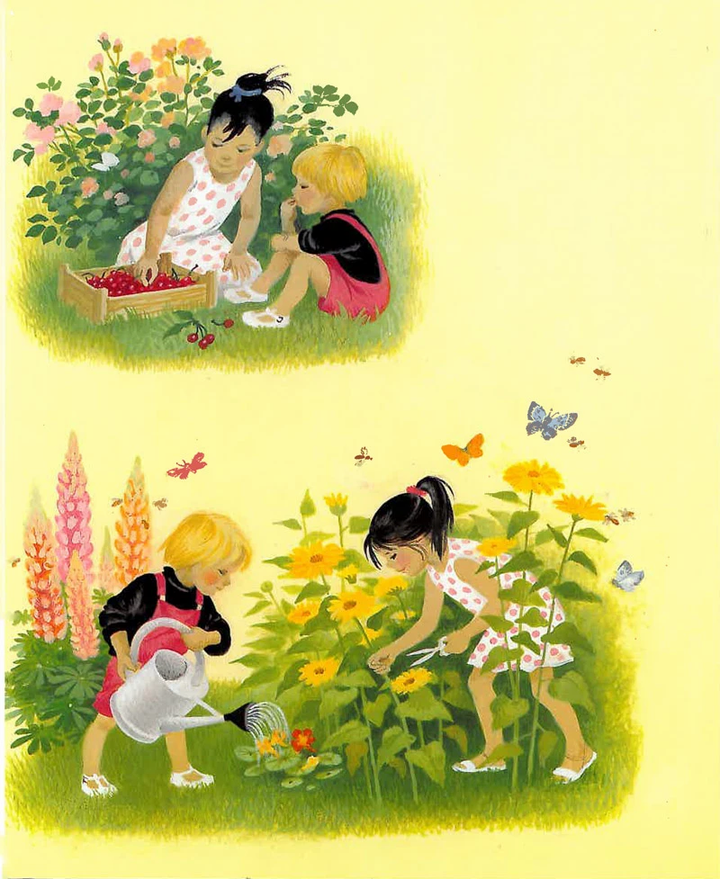 Summer by Gerda Muller-Board Book-Books-9780863151941-Stardust-Store